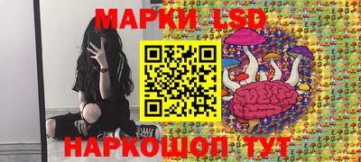 spice Краснокаменск